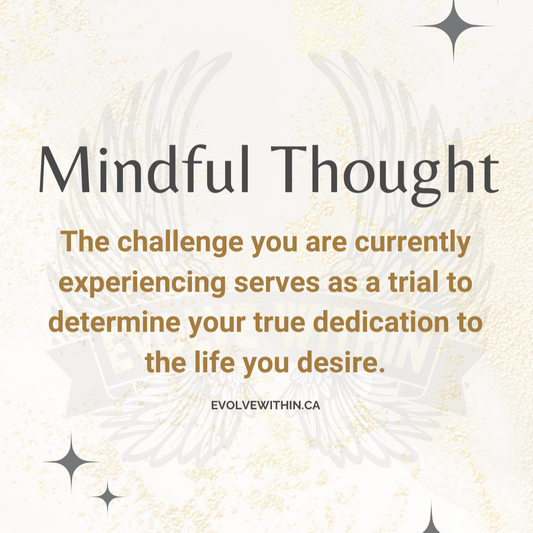Embracing Challenges: How to Use Them as Trials of Dedication and Determination on the Road to Achieving Your Dreams
