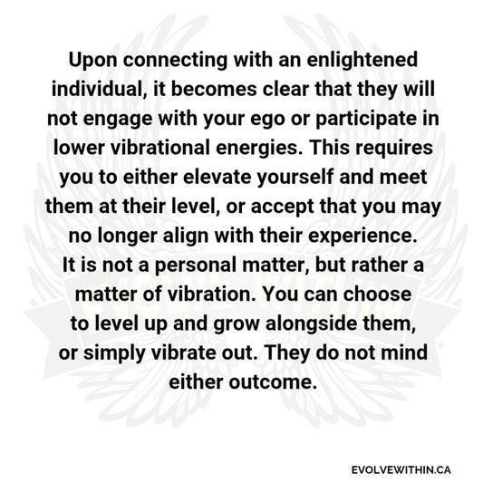 The Transformative Power of Connecting with an Enlightened Being